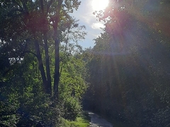 Im Frühling 2020 (6)